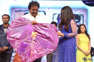 Chinnadana Neekosam Movie Audio Launch